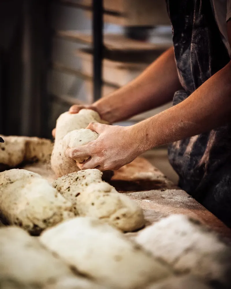 Hands kneading fresh dough on the bench
